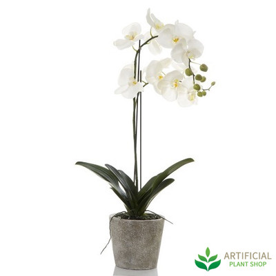 White Orchid in Clay Pot 84cm