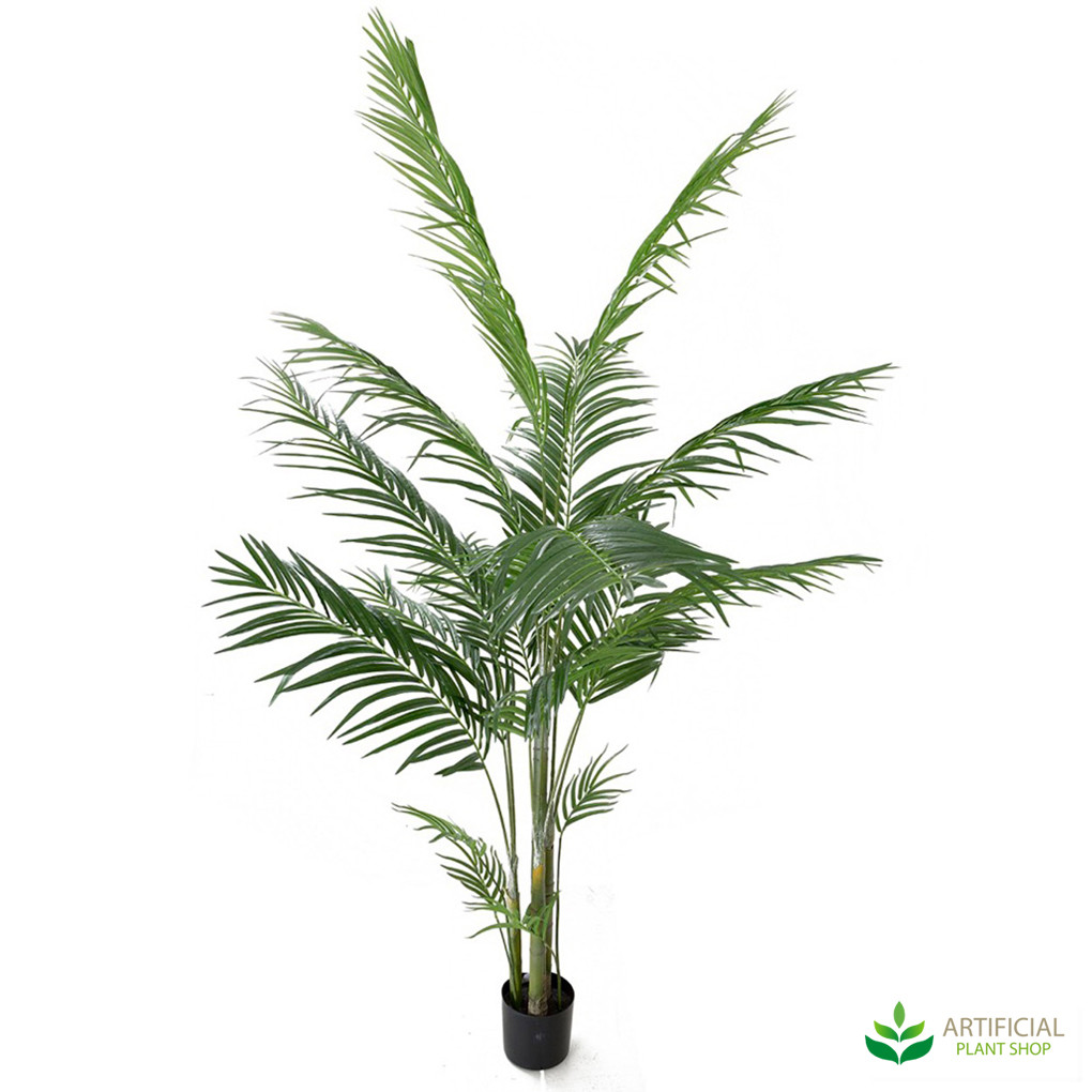 New Areca Palm Tree 1.8m