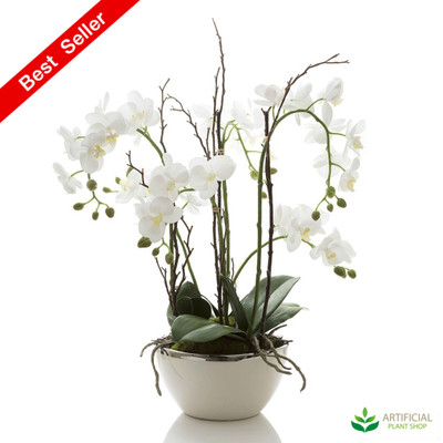 Orchid in White Pot with Silver Rim 60cm - Real Touch