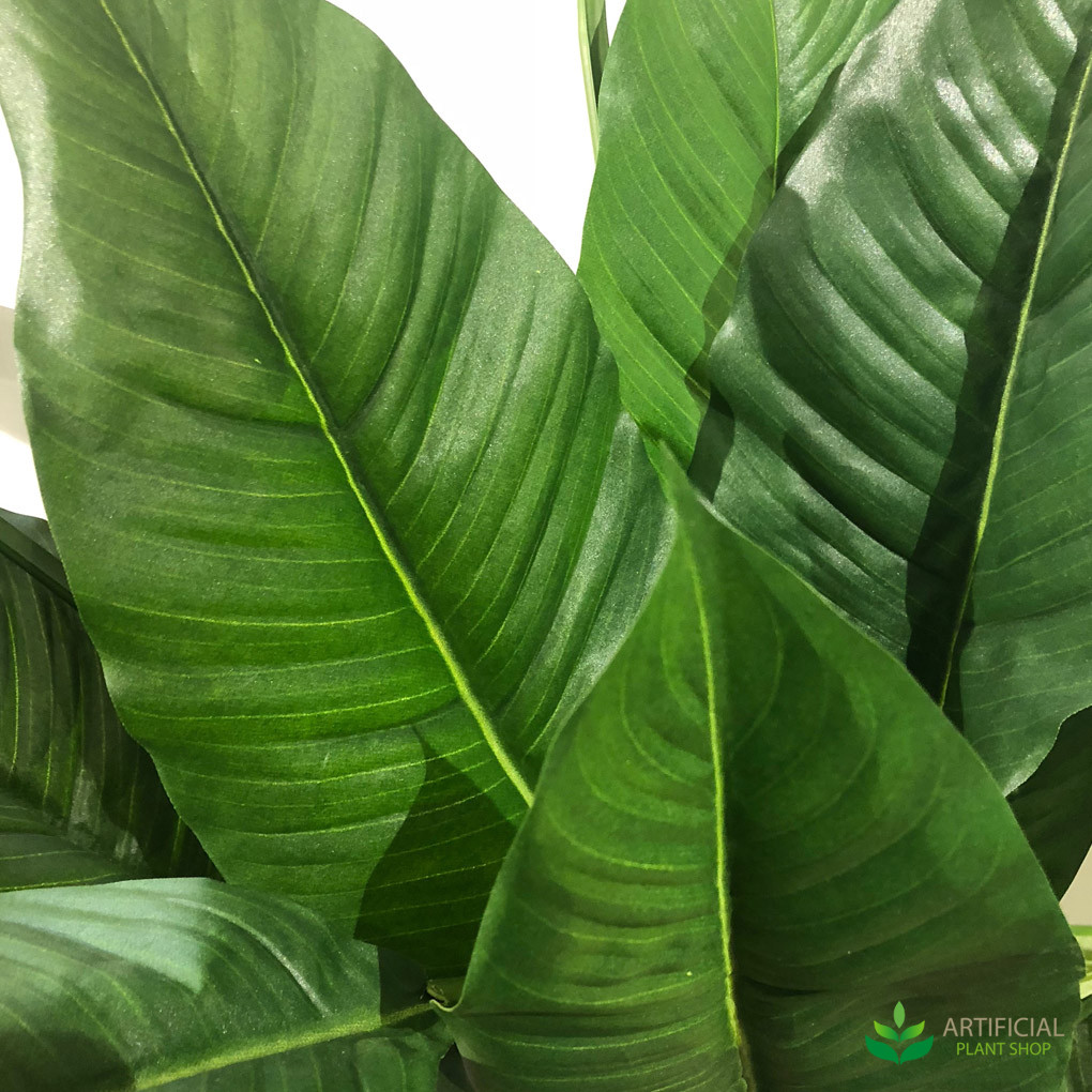 Artificial Spathiphyllum leaves