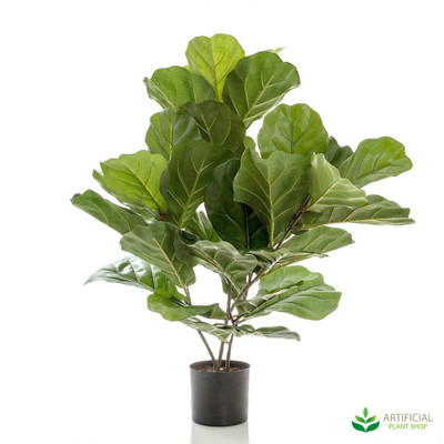 Fiddle Leaf Fig Tree 65cm