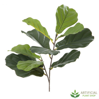 Fiddle Leaf Branch 64cm