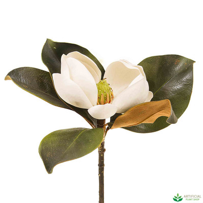 White Magnolia Stem 60cm