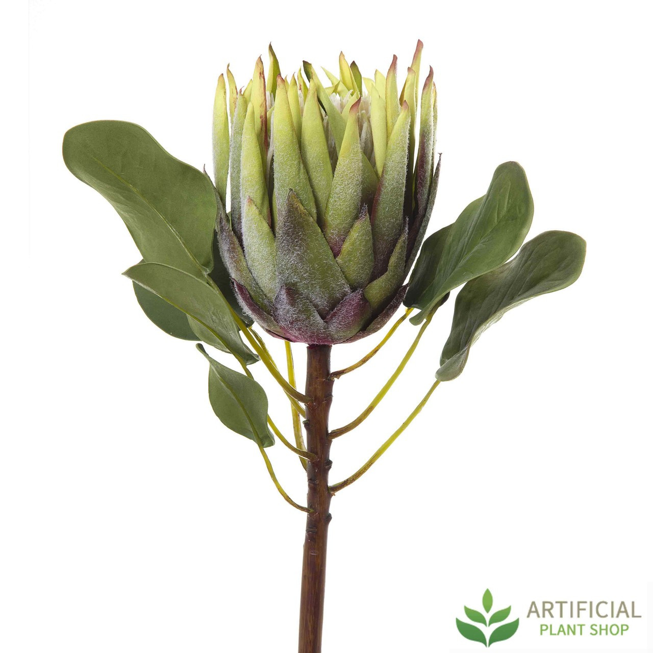 15 Protea Silk Flower Stem Pack of 12 Gray/Green 15 Protea Silk Flower Stem Pack of 12 Gray/Green