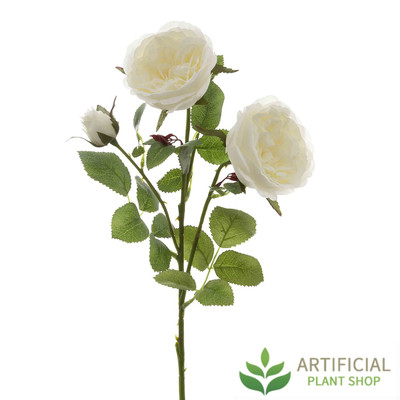 White English Rose Stem 55cm