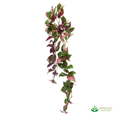Wandering Jew Hanging Bush 94cm Purple & Green (pack of 6)