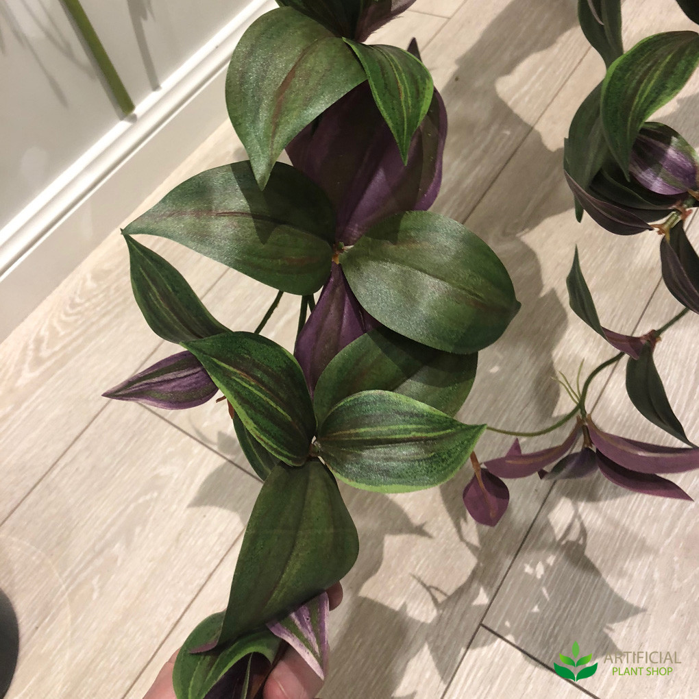 Wandering Jew Hanging Bush 94cm Purple & Green