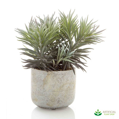 artificial needle succulent 23cm