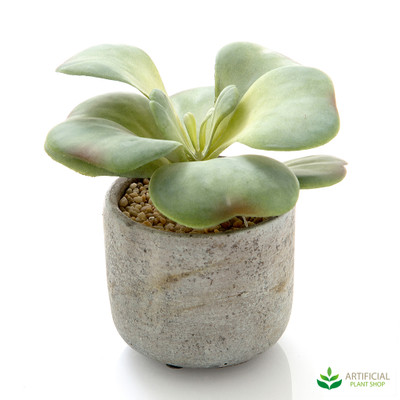 artificial succulent in pot 17cm
