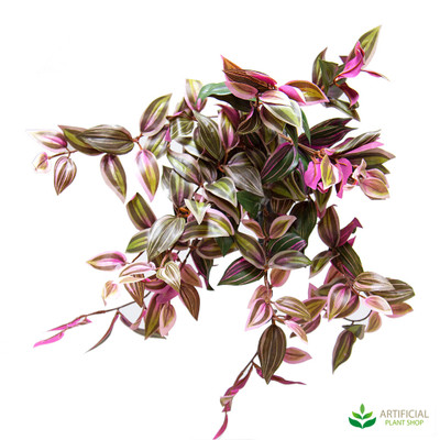Wandering Jew Bush 51cm Purple & Green (pack of 6)