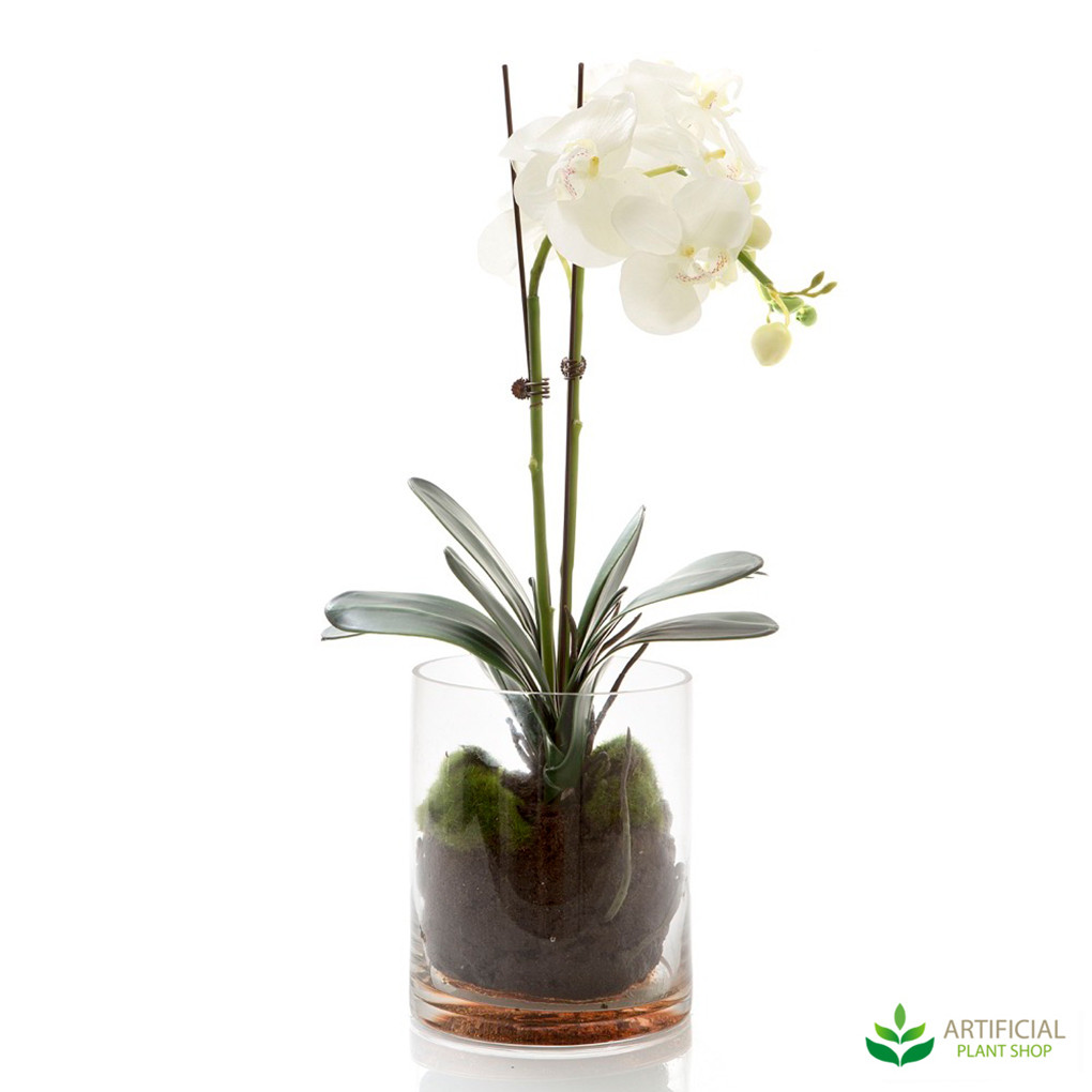 artificial white orchids in glass vase