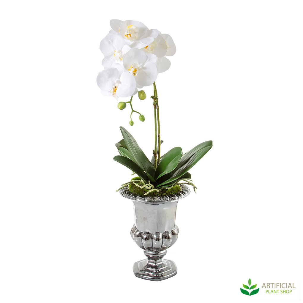 artificial white orchids in silver urn