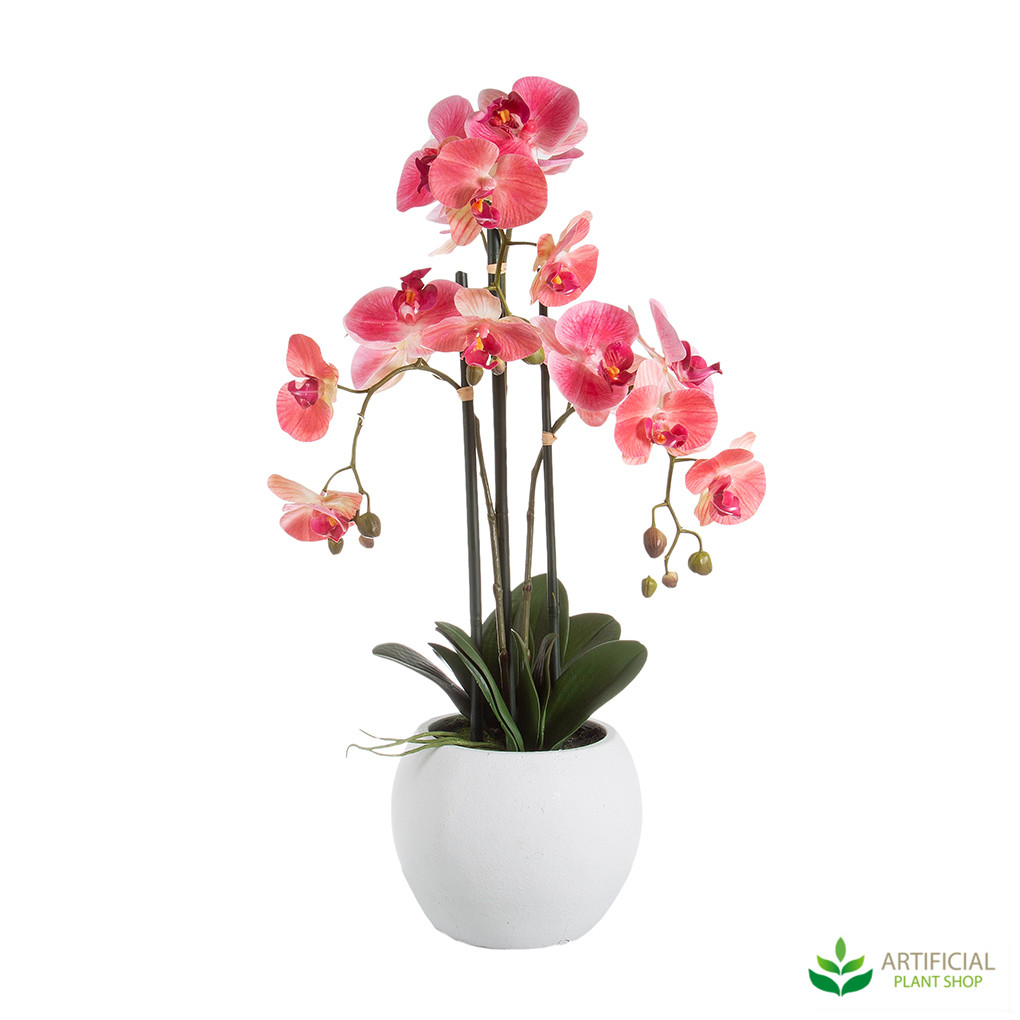 Large Pink Orchid In White Pot 65cm