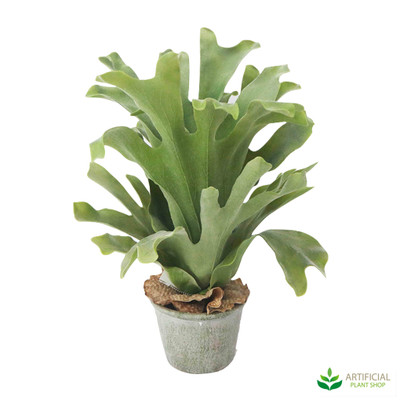 artificial staghorn potted