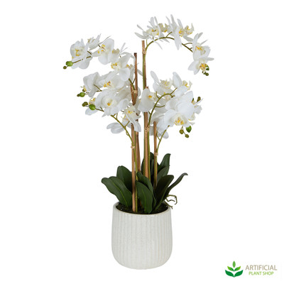 Potted White Artificial orchid