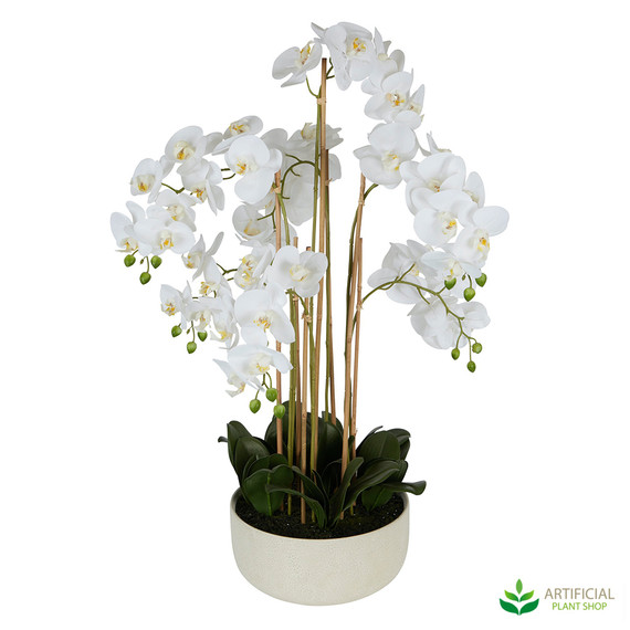 White Orchid realtouch in White Pot 1m