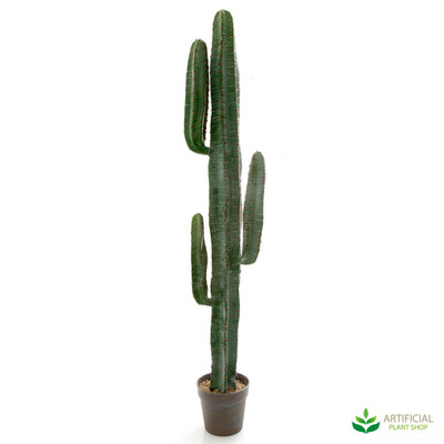 Artificial Cactus plant