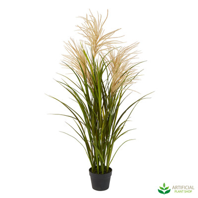 artificial pampas grass plant