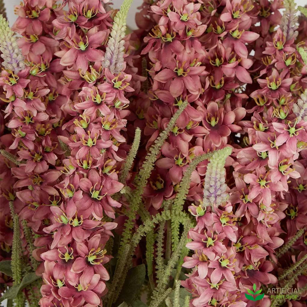 Pink Bush Flax in shallow pot 1m