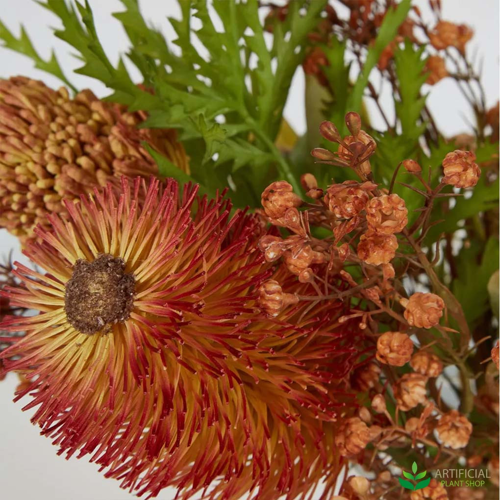 orange protea flower
