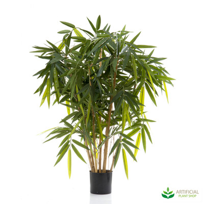 Bamboo Tree 1m with natural trunks