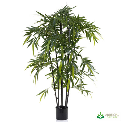 Bamboo Tree 1.5m with black trunks
