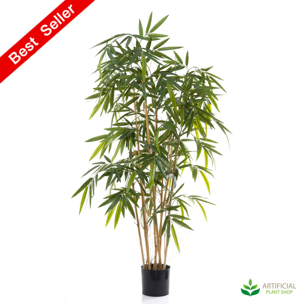 Bamboo Tree 1.6m with natural trunks