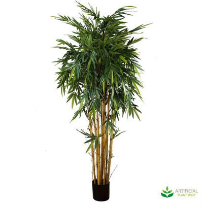 Bamboo Tree 2.2m with natural trunks