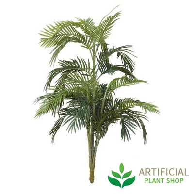 Areca Palm 1.2m without pot