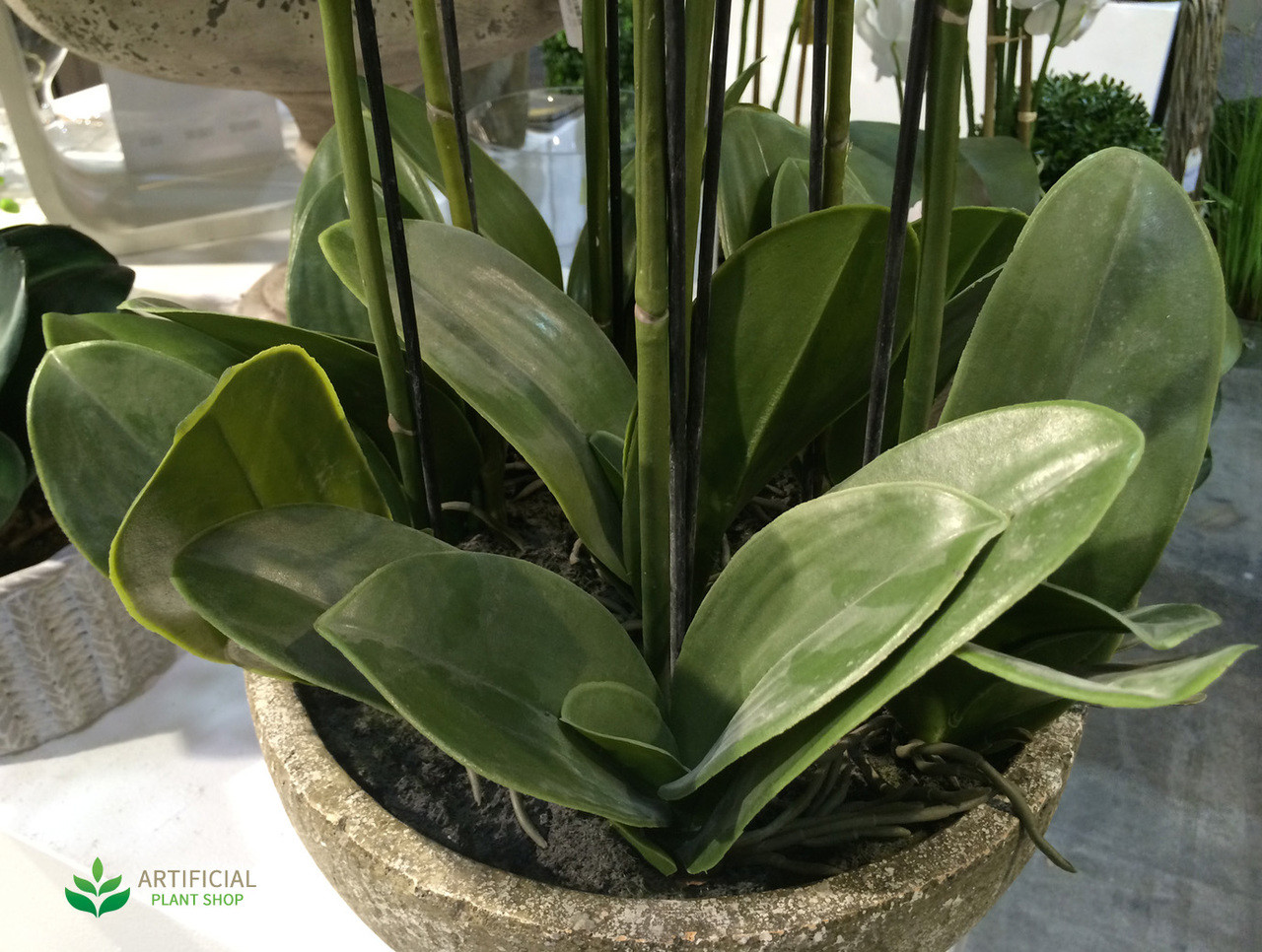 Artificial Orchid leaves