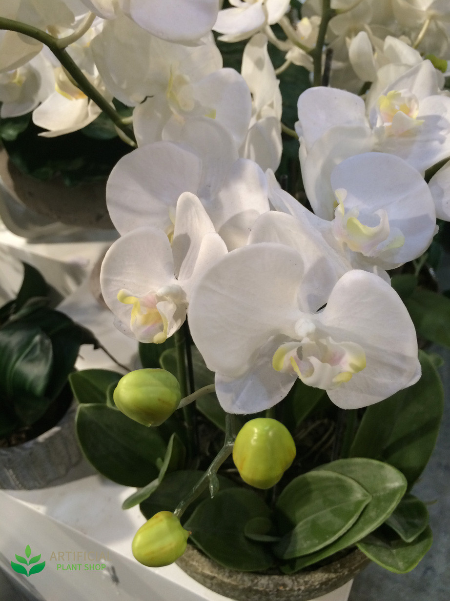 Artificial White Orchid Flwoers