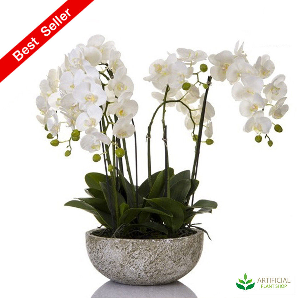 Artificial Fake Plants Orchid 62cm in round clay pot eBay
