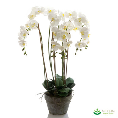 Artificial White Orchid in Terracotta Pot