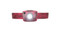 Nathan Nebula Fire Headlamp - Rio Red