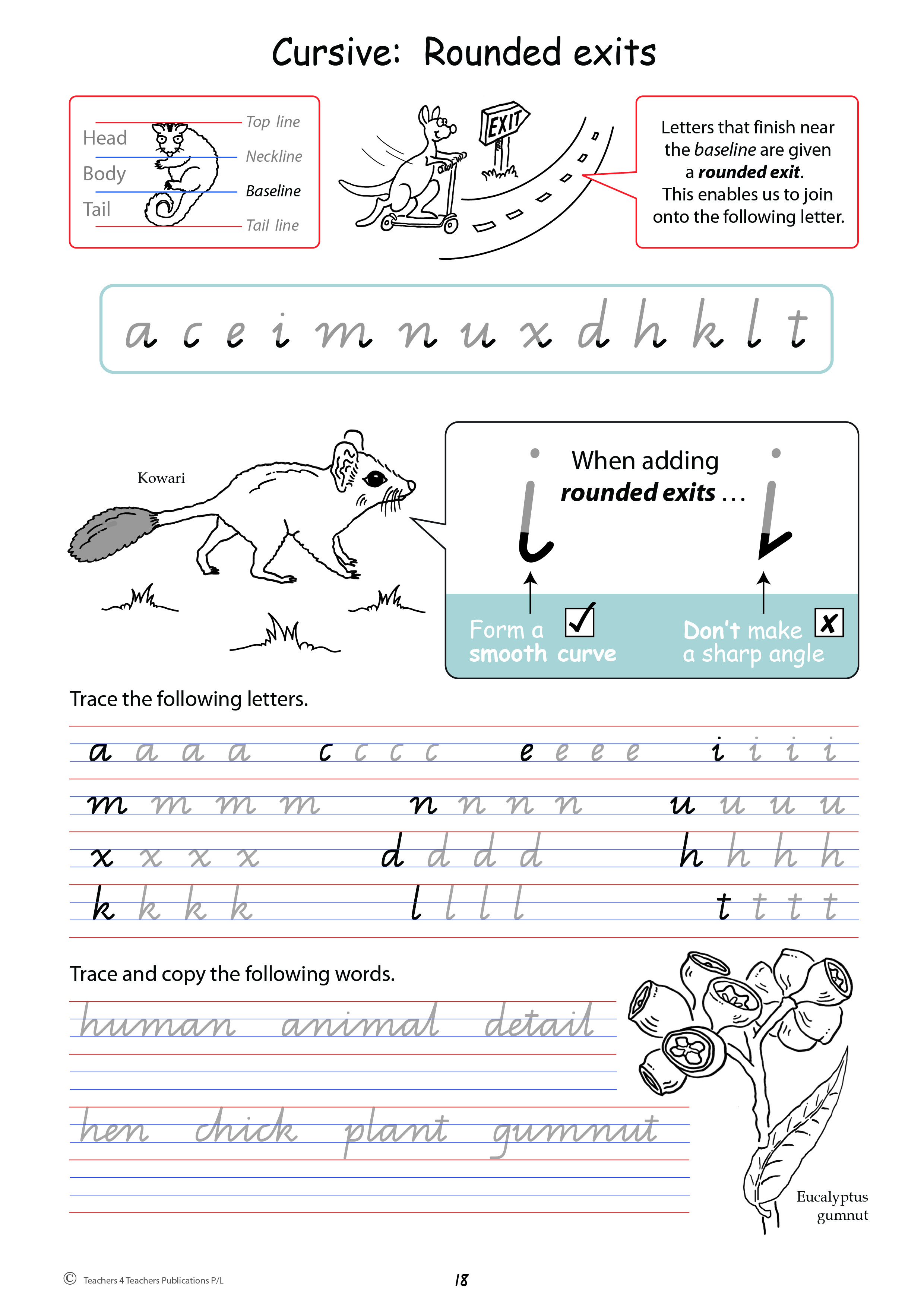 handwriting conventions queensland teachers 4 teachers publications pty ltd