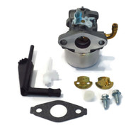 Carburetor Briggs & Stratton 798653 791077 696981 698860 790182 694508 795069