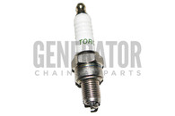 Honda Gx31 Gx35 Spark Plug