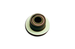 ITB™ PTFE Plunger Seal, Black, Waters 100 µL Head