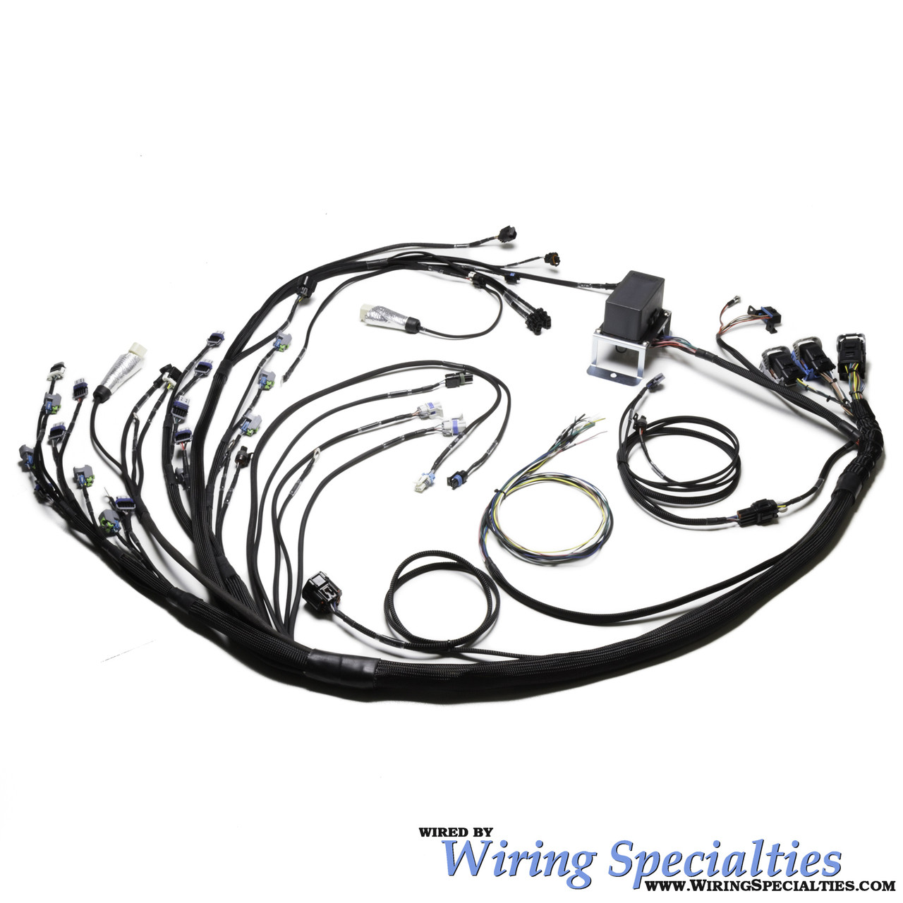 Ls2 Dbw Wiring Harness For Bmw E46 Canbus Pro Series