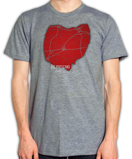 OHIO'S PULSE
