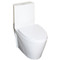 European Toilet One Piece dual flush