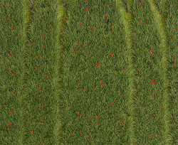 FALLER Grainfield w/ Poppies Landscape Segment 210x148x3mm HO Gauge 180458