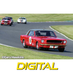 Scalextric Digital Slot Car C4339 Ford Mustang - Alan Mann Racing - Mann & Soper