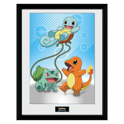 POKEMON - Kanto Starters Framed Print 30.5cm x 40.6cm