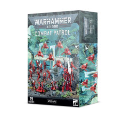 Games Workshop Warhammer 40k Combat Patrol: Aeldari 46-31