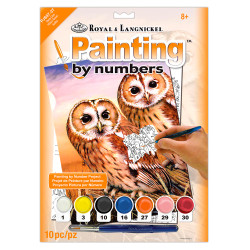 Royal & Langnickel Paint by Numbers Tawny Owls PJS87