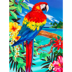 Royal & Langnickel Paint by Numbers Scarlet Macaw PJS92