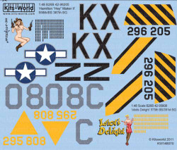Kits World 148070 Aircraft Decals 1:48 Martin Marauders B-26B-55-MA 42-96205/KX-