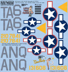 Kits World 148084 Aircraft Decals 1:48 Martin B-26C-45-MO Marauder (2) 42-107841