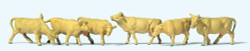 Preiser 79229 Light Brown Cows (6) Figure Set N Gauge
